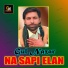 Gul Nazar