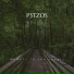 P3TZOS