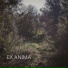 Ex Anima