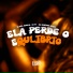 DJ Biel Divulga, DJ P7, Mc Renatinho Falcão