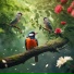 Calming Relaxation