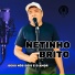 netinho brito