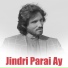 Tanveer Anjum