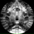 Octave