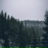 DXMOSXRNT