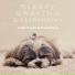 Tender Melodies for Peaceful Sleep