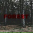 SevenFour