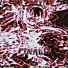 VX1NGYHN