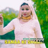 Star Irfan Pahat