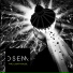 D.S.E.M.
