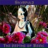Shympulz