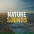 Nature Therapy