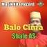 Shale AS