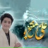 Syed Saqib Jalali