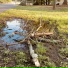 Oakdale Drive