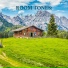 Nowak Sommer