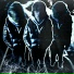 WhiteWither