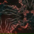 Pure Obsessions & Red Nights, Entropy Zero
