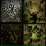 SLEEP SPIRIT