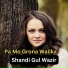 Shandi Gul Wazir