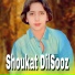 Shoukat Dilsooz