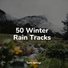 Sons da Natureza Relax, Rain Sounds, Zarobi
