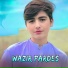 Wazir Pardes