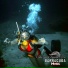 Barracuda Music
