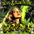 DJ BIZMARE, SLVG