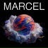 Marcel