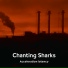 Chanting Sharks