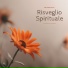 Musica Pace Spirituale
