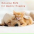 Relaxing BGM Project