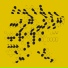 Move 78, douniah