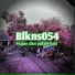 Blkns054
