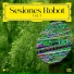 Sesiones Robot