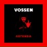 VOSSEN feat. YTH