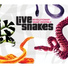 Revolutionary Snake Ensemble