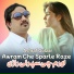 Ashraf Gulzar
