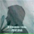 PAVLUNA