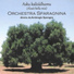 Ambrogio Sparagna, Orchestra Sparagnina