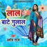 Amod Raja