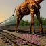 Alrais