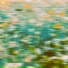 HNE
