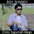 Boy Shandy