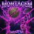 MIRAGEMFXNK, KYON, Torbahed