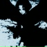 HXMA