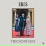 Trio Jongen
