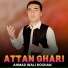 Ahmad Wali Roshan