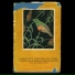 Still Lost Bird Music